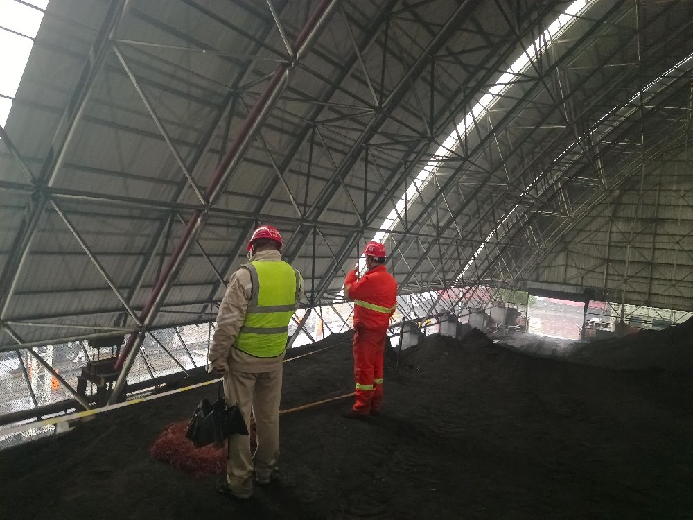 某電廠(chǎng)煤棚加固后鑒定